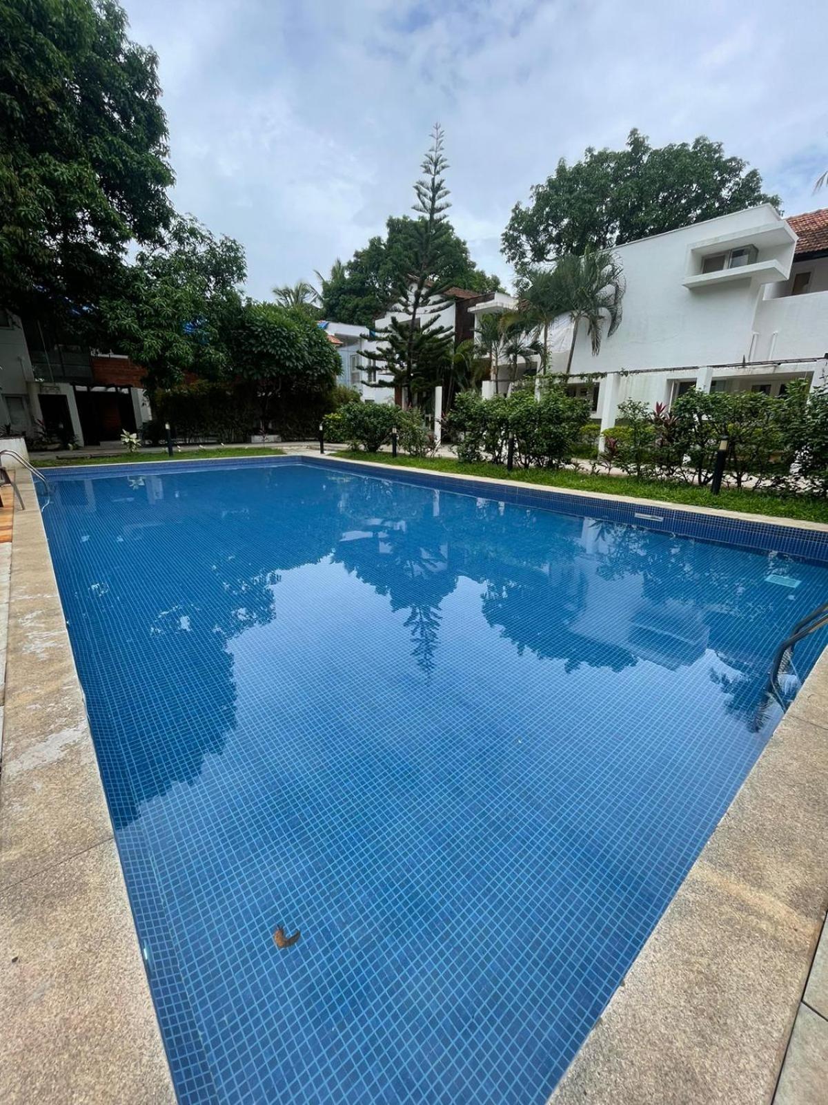 Villa M - Solitude 2 Candolim Goa 3Bhk, Pool Facing, Near Beach, Free Breakfast, Free Wifi And Prime Location Eksteriør bilde